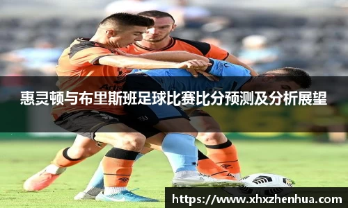 惠灵顿与布里斯班足球比赛比分预测及分析展望
